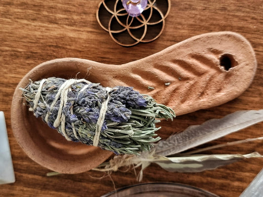 Glosario de hierbas para sahumar